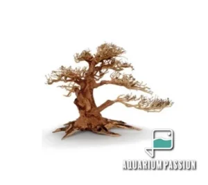 Legno Oriental Wind-4 MEDIUM, radice ornamentale aquascaping - 32X15X24h cm