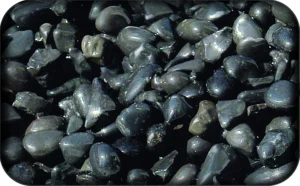 Ghiaia Rio Negro Zen Artist Black M 0,7-0,9 cm, ciottoli neri - 2 kg- fondo inerte per acquario