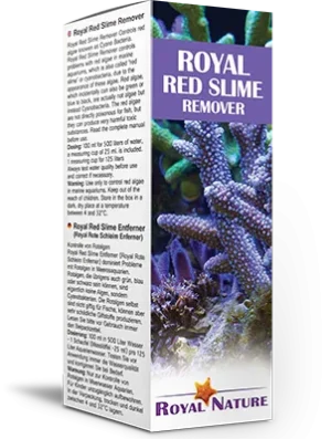 Royal Red Slime Remover 100 ml per 500 lt - Antialghe contro i Cianobatteri per acquario marino