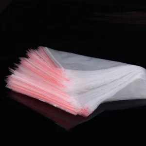 10 Sacchetti richiudibili trasparenti zip 13x19 cm - bustine portatutto