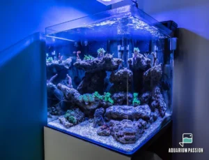 Nano reef 90 litri completo di tecnica: skimmer, filtro a zainetto, pompe di movimento e plafoniera led Cetus 2 -84w