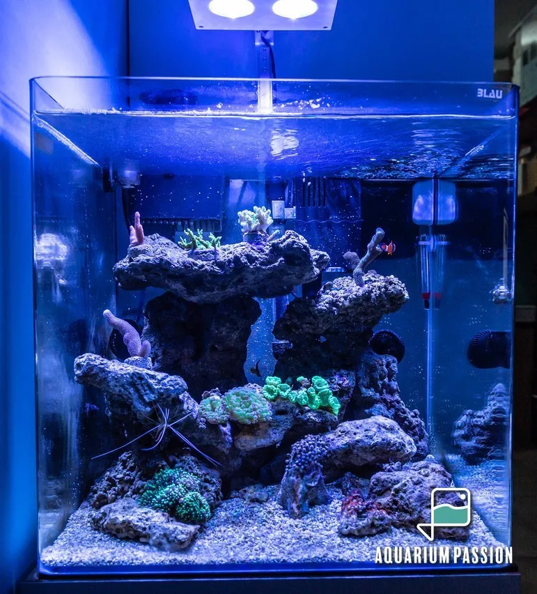 Nano reef 90 litri completo di tecnica: skimmer Tunze, filtro Tidal, pompe Sicce e plafoniera led Cetus 2 - 84w