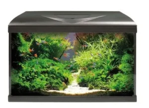 Acquario Amtra System 60 led Black 65 litri completo