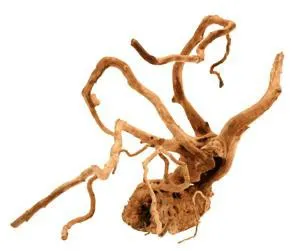 LEGNO RED WOOD Md medio 25-45 cm, radice ornamentale