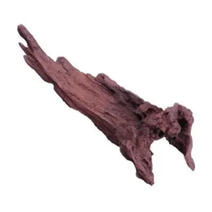 LEGNO Jati Mangrovia S piccolo 12-22 cm, radice ornamentale