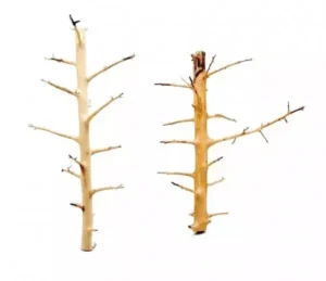 LEGNO Decor Long Hands Wood Small 20-30 cm, radice ornamentale longilinea