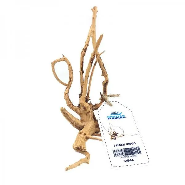 LEGNO Decor Spider Wood Nano XS - 5-10 cm, radice ornamentale finemente ramificata