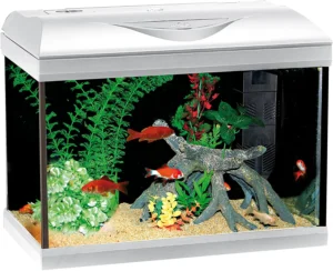 Acquario Amtra Riviera 40 led Coldwater white 22 litri bianco
