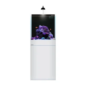 Aqpet Kit Kubic 50 reef - Acquario marino 50x50x50 cm in vetro extrachiaro con sump e supporto