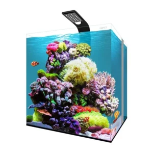 Aqpet Kubic Reef Box 40 - Acquario marino Nano reef 64 lt completo 40x40x40h cm