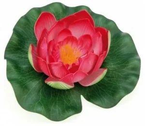Pontec PondoLily red - fiore di Ninfea galleggiante per acquario o laghetto - Nymphaea