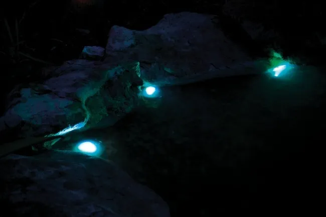 Pontec Set PondoStar LED RGBW 3 - faretti led colorati RGB per laghetto