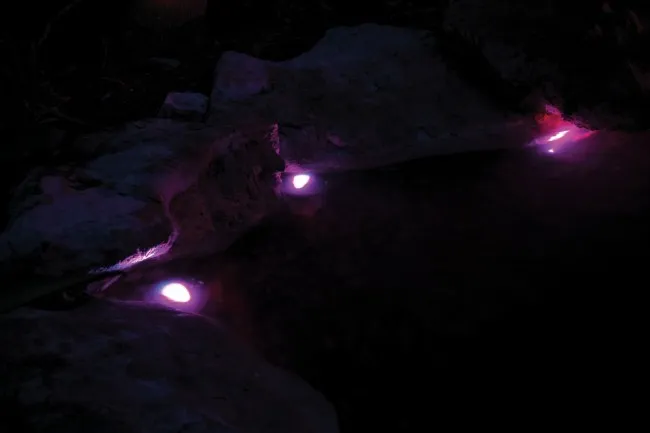 Pontec Set PondoStar LED RGBW 3 - faretti led colorati RGB per laghetto
