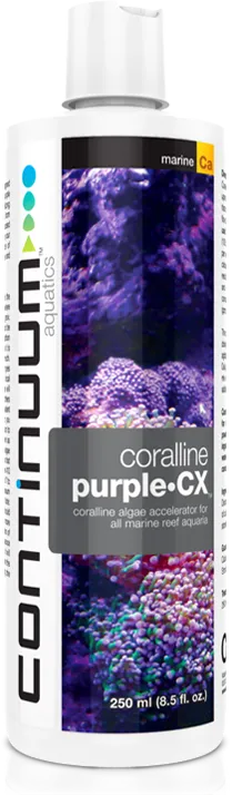 Continuum Coralline Purple intense CX - 250 ml - acceleratore di alghe coralline per acquari marini