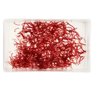 CHIRONOMUS VIVO - CIBO VIVO PER PESCI D'ACQUARIO - RED MOSQUITO LARVAE - STARTER COLTURA  BLODYWORMS