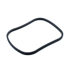 Oase Ricambio Guarnizione Testa per tutti i filtri BioMaster - cod. 45148
