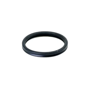 Oase Ricambio Guarnizione Prefiltro per tutti i filtri BioMaster - cod. 45149
