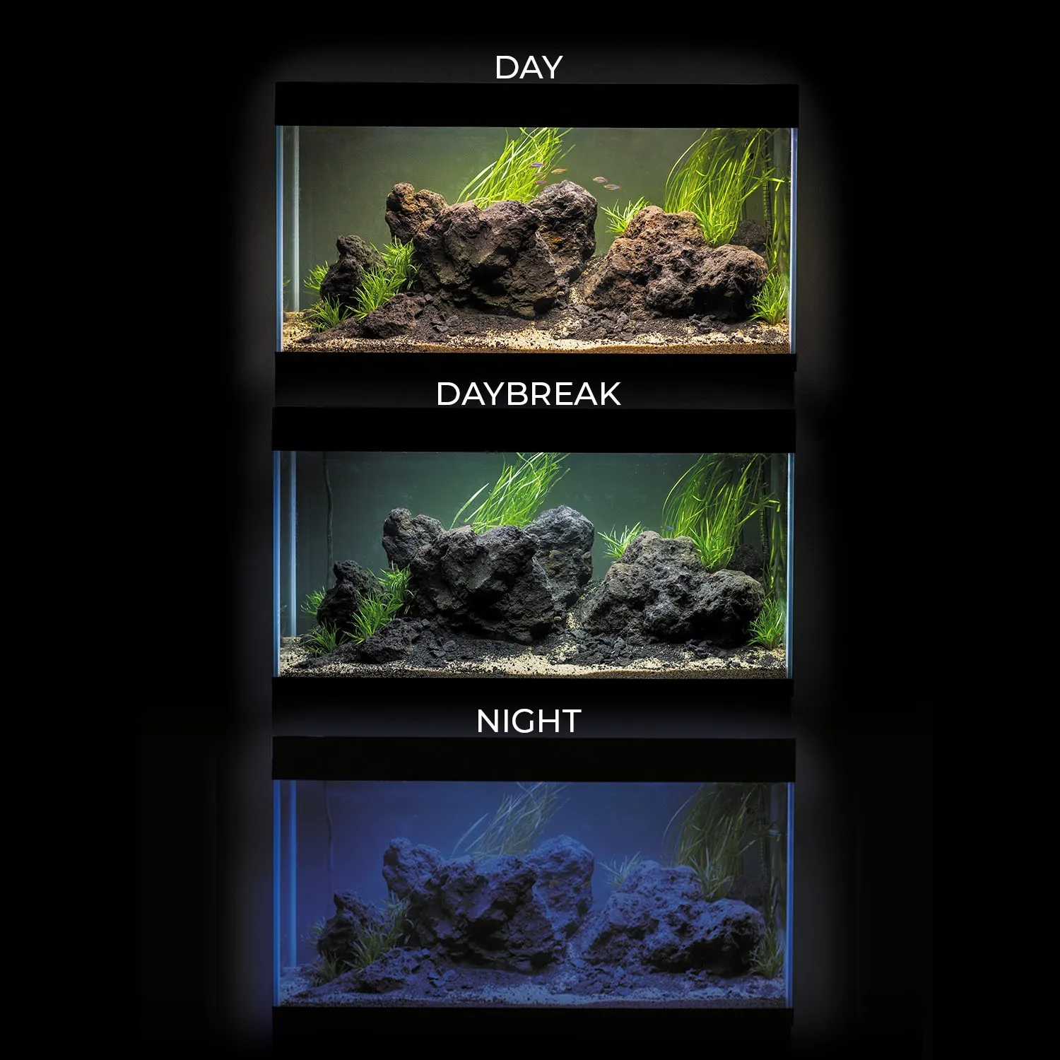 Aquael Opti Set 200 white 101X41X56h cm - 200 lt bianco - Acquario Completo di illuminazione a Led