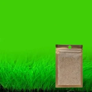 Semi di Eleocharis Parvula, pianta da pratino a foglia fine