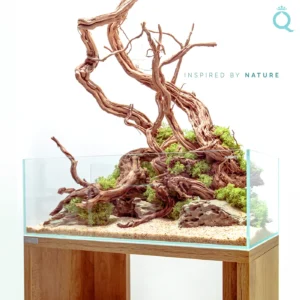 Aqpet Acquario Shallow 60 in vetro extrachiaro 60x30x20h cm - solo vasca
