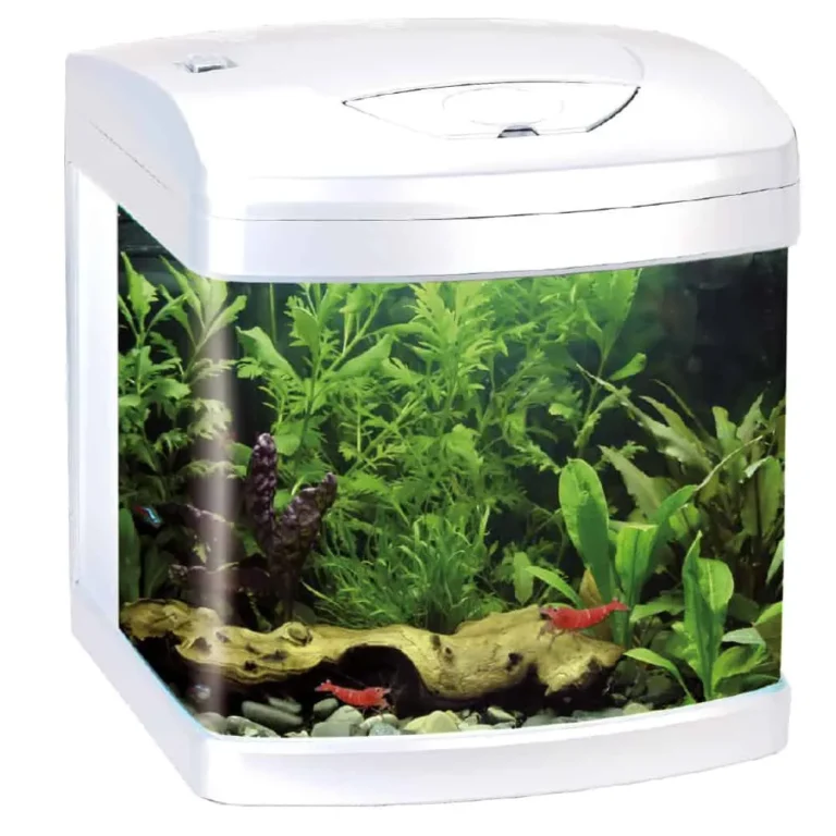 Amtra Xcube 26 Led - White Acquario completo 26 litri Bianco - 31x32x37 cm