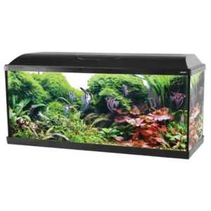 Zolux Acquario Tana 100 Led Black - acquario 120 L - 100x30x40h cm completo di fltro, riscaldatore e illuminazione a led - nero