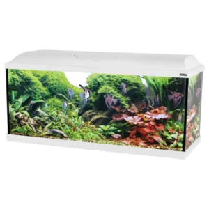 Zolux Acquario Tana 100 Led White - acquario 120 L - 100x30x40h cm completo di fltro, riscaldatore e led - bianco