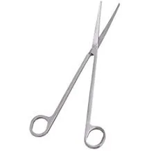 Forbici diritte professionali punte arrotondate in acciaio inox per potature 25,5 cm aquascaping